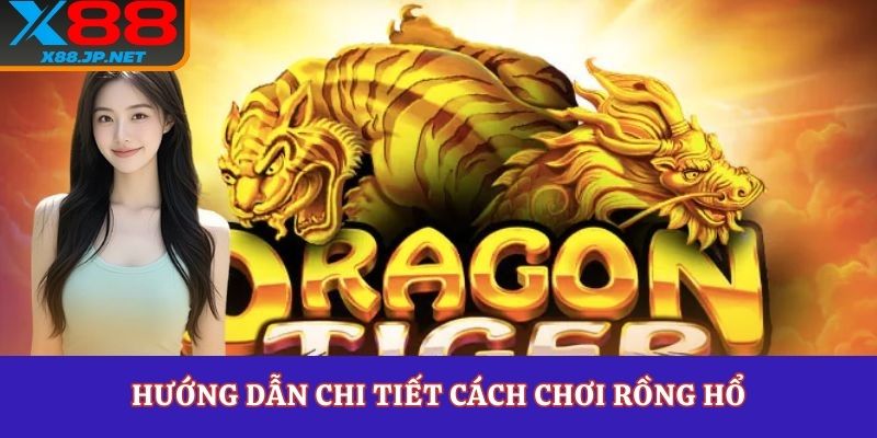 Hướng dẫn chi tiết cách chơi rồng hổ