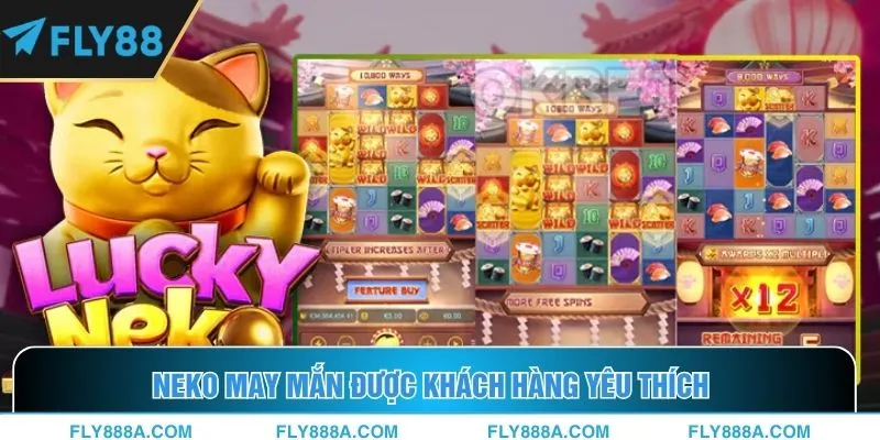 Neko May Mắn được khách hàng yêu thích